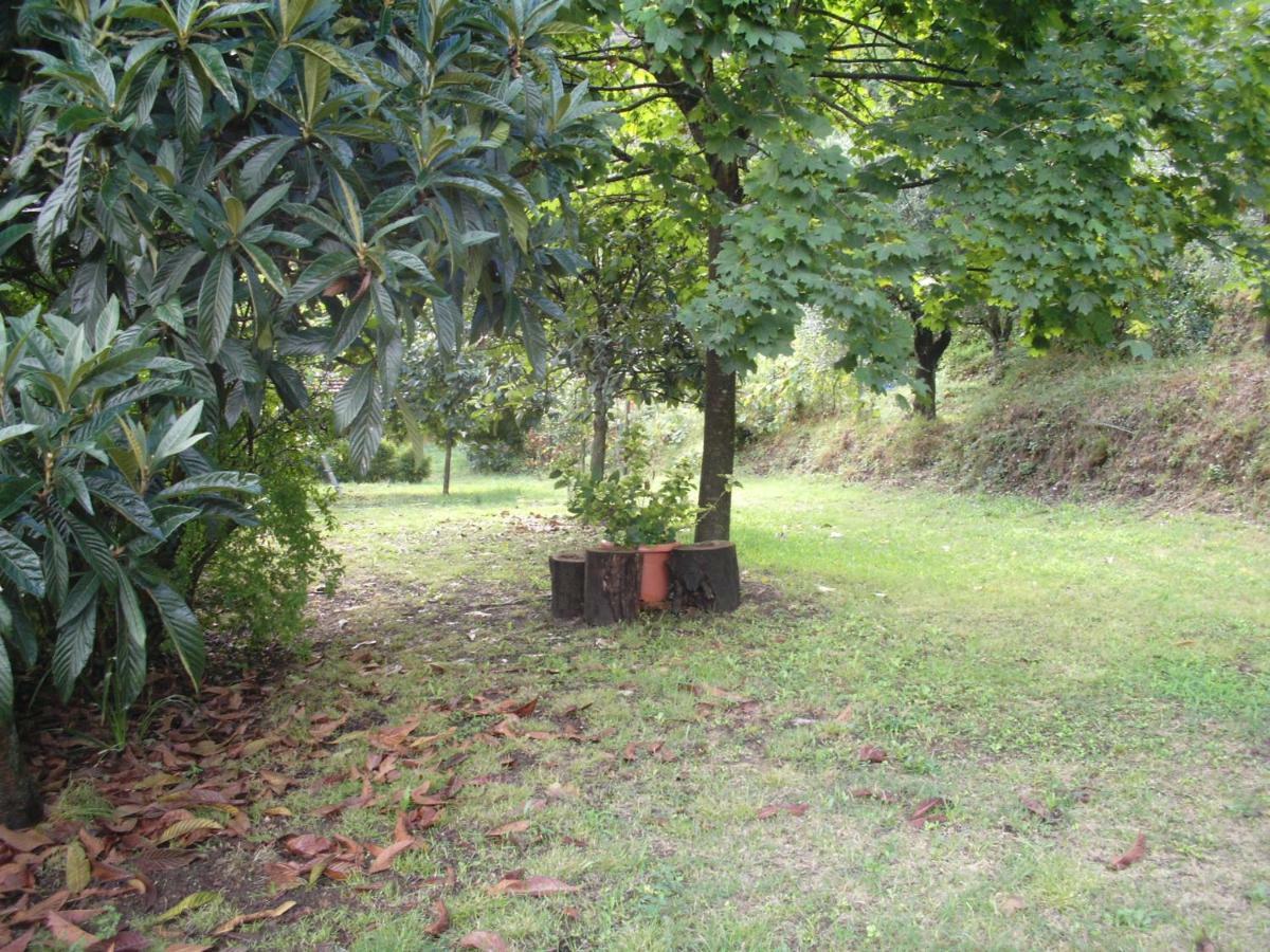 Villa Il Fienile Ripafratta Exterior foto